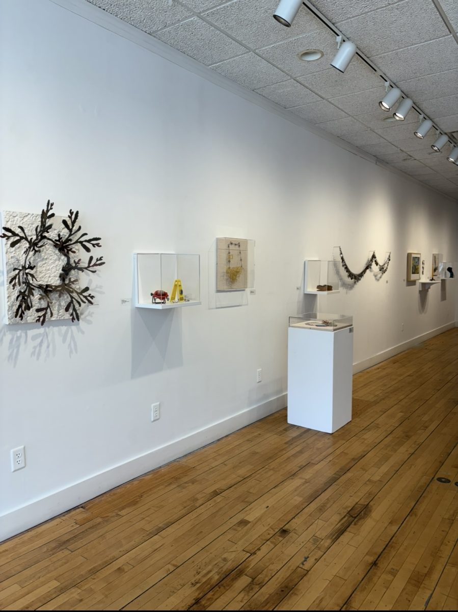 A wall of alumni-created artwork at the “Tributary: Students and Kathleen Browne” exhibition on Tuesday, April 22, 2025.
