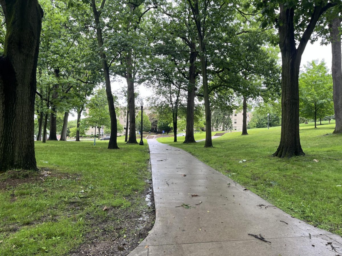 In between rain showers on Thursday June 19, 2025, twigs and leaves accumulated on the sidewalks nearby the rock and gazebo. 