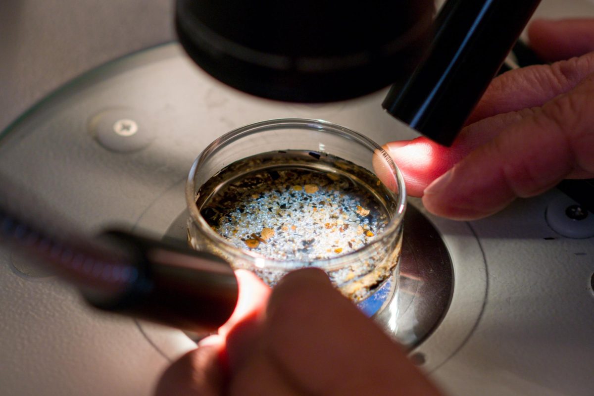 Shelly Moore, executive director of Moore Institute for Plastic Pollution Research uses a stereo scope to examine a sediment sample to identify microplastics within the sample, sort them out, analyze them for polymer type, measure and identify what kind of particle they are in Long Beach on Tuesday, October 1, 2024.