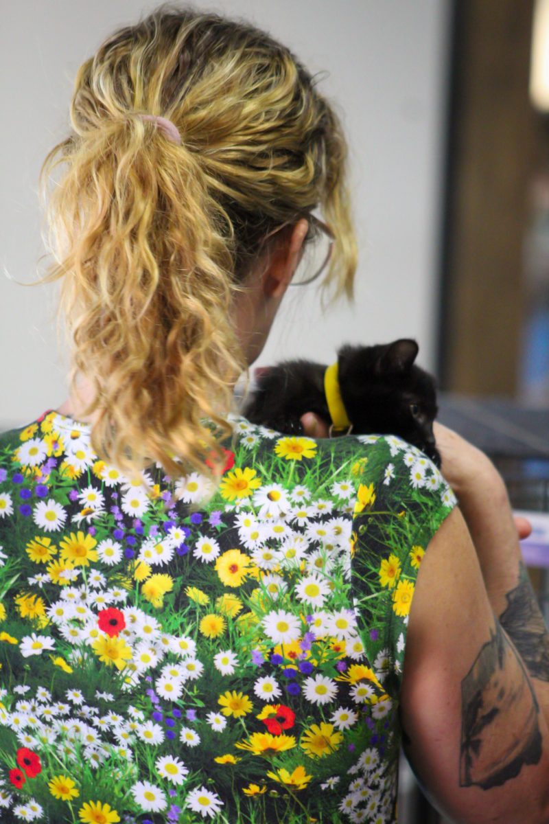 Customer plays with kitten at the “study buddy” cat adoption event hosted by Evelyn Dickerson Hair Design, Tree City Cats and Sun in Leo on Friday, Sept. 12, 2025.
