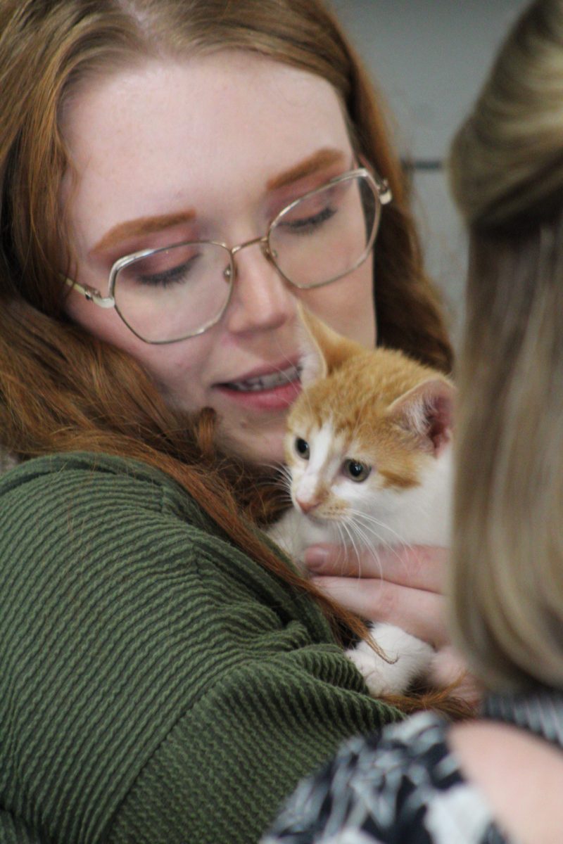 Elle Bartik, a hair stylist at Evelyn Dickerson Hair Design, snuggles a kitten available for adoption at the “study buddy” cat adoption event in partnership with Tree City Cats and Sun in Leo on Sept. 12, 2025. Bartik says she is an avid cat lover herself. 
