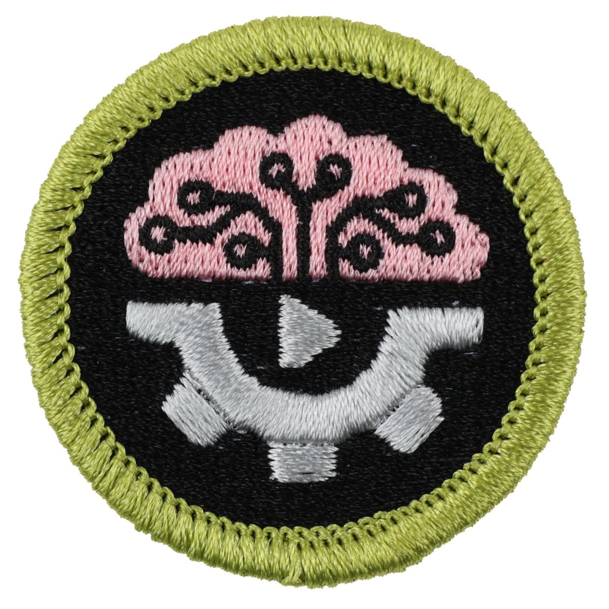 Scouting America's AI Merit Badge.