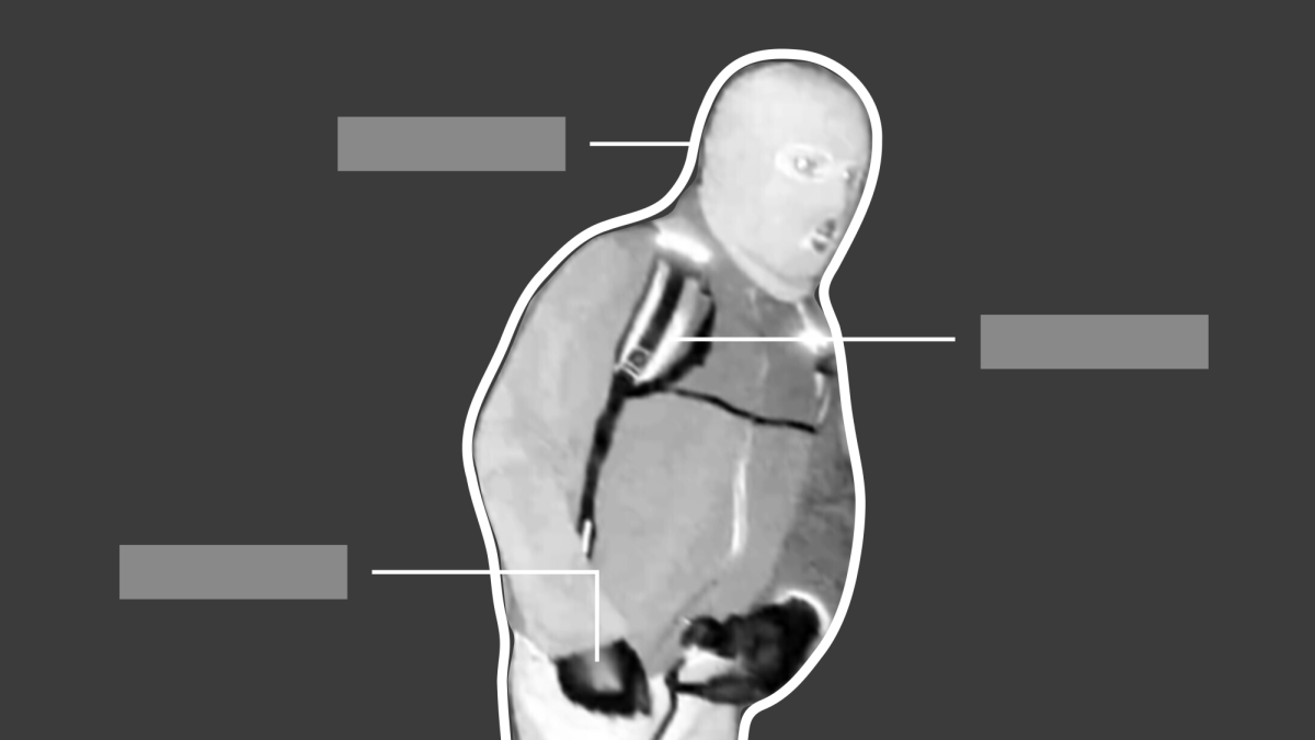 New images showing an armed, masked individual outside the Tucson, Arizona, home of Nancy Guthrie have given new life to the search for the 84-year-old. - CNN